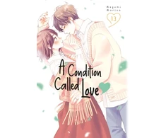 KNYGA Bookshop Condition Called Love 13