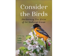 KNYGA Bookshop Consider the Birds