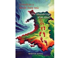 KNYGA Bookshop Crwydrau y Bardd Dwp neu/or The meanderings of an Idiot!