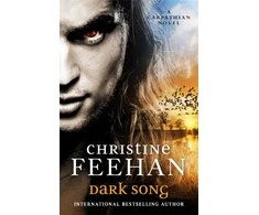 KNYGA Bookshop Dark Song
