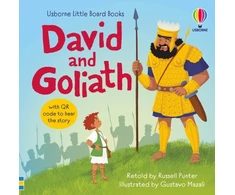 KNYGA Bookshop David and Goliath