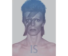 KNYGA Bookshop David Bowie Is