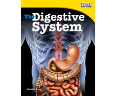 KNYGA Bookshop Digestive System