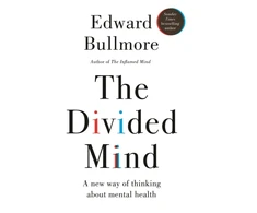 KNYGA Bookshop Divided Mind