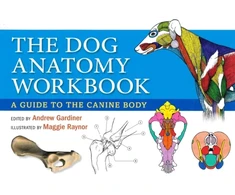 KNYGA Bookshop Dog Anatomy Workbook