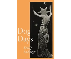 KNYGA Bookshop Dog Days