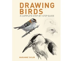 KNYGA Bookshop Drawing Birds