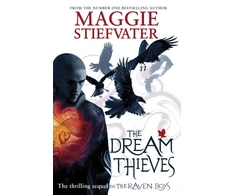 KNYGA Bookshop Dream Thieves