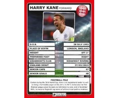 KNYGA Bookshop England Football Superstars Poster Set