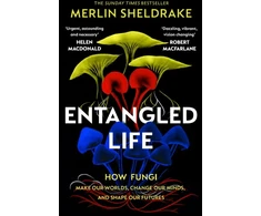 KNYGA Bookshop Sheldrake Merlin Entangled Life: How Fungi Make Our Worlds, Change Our Minds and Shape Our Futures
