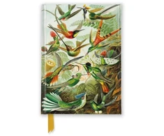 KNYGA Bookshop Ernst Haeckel: Hummingbirds (Foiled Pocket Journal)