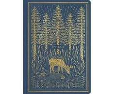 KNYGA Bookshop ESV Illuminated Scripture Journal