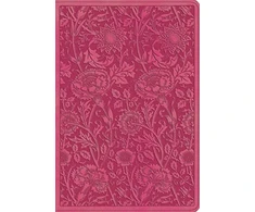 KNYGA Bookshop ESV Student Study Bible