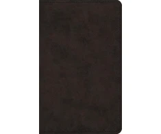 KNYGA Bookshop ESV Vest Pocket New Testament with Psalms and Proverbs, Raudona Letter