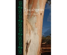 KNYGA Bookshop Eucalyptus