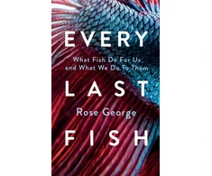 KNYGA Bookshop Every Last Fish