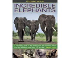 KNYGA Bookshop Exploring Nature: Incredible Elephants