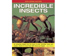 KNYGA Dr Jen Green Exploring Nature: Incredible Insects
