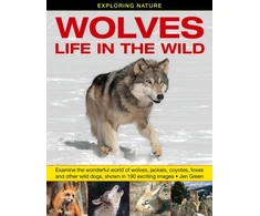 KNYGA Dr Jen Green Exploring Nature: Wolves - Life in the Wild