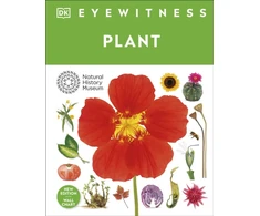 KNYGA Bookshop Eyewitness Plant