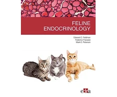 KNYGA Bookshop Feline endocrinology
