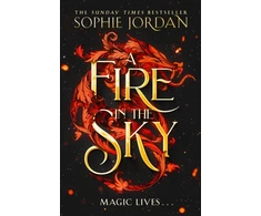 KNYGA Bookshop Fire in the Sky