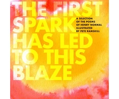 KNYGA Bookshop First Spark Has Led To This Blaze