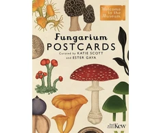 KNYGA Bookshop Fungarium Postcards