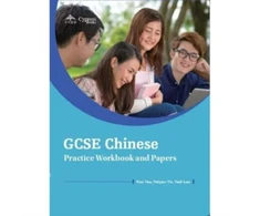 KNYGA Bookshop GCSE Chinese Practice Workbook and Papers