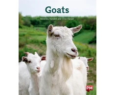 KNYGA Bookshop GOATS