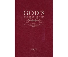 KNYGA Bookshop God's Promises for Your Every Need, NKJV