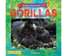 KNYGA Bookshop Gorillas