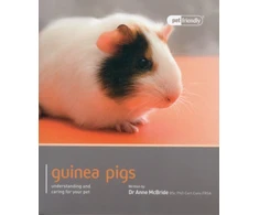KNYGA Bookshop Guinea Pig - Pet Friendly