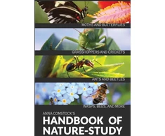 KNYGA Bookshop Handbook Of Nature Study in Color - Insects