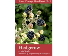 KNYGA Bookshop Hedgerow