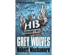 KNYGA Bookshop Henderson's Boys: Pilkas Wolves