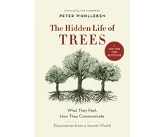 KNYGA Bookshop Hidden Life of Trees