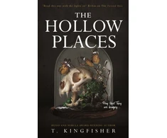 KNYGA Bookshop Hollow Places