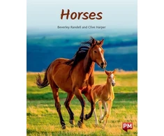 KNYGA Bookshop HORSES