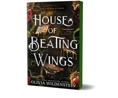 KNYGA Bookshop House of Beating Wings
