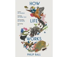 KNYGA Bookshop How Life Works