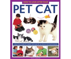 KNYGA Bookshop How to Look After Your Pet Cat