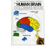 KNYGA Bookshop Human Brain Coloring Book