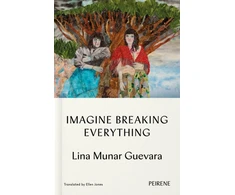 KNYGA Bookshop Imagine Breaking Everything