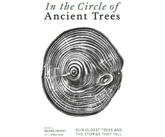 KNYGA Bookshop In The Circle of Ancient Trees