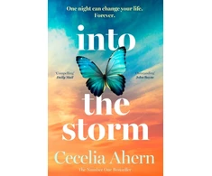 KNYGA Cecelia Ahern Into the Storm