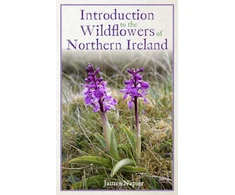 KNYGA Bookshop Introduction to the Wildflowers of Northern Ireland