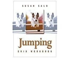 KNYGA Bookshop Jumping Grid Workbook