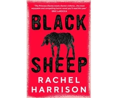 KNYGA Rachel Harrison Juoda avis