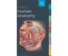 KNYGA Bookshop Kenhub Atlas of Human Anatomy